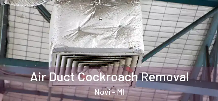 Air Duct Cockroach Removal Novi - MI