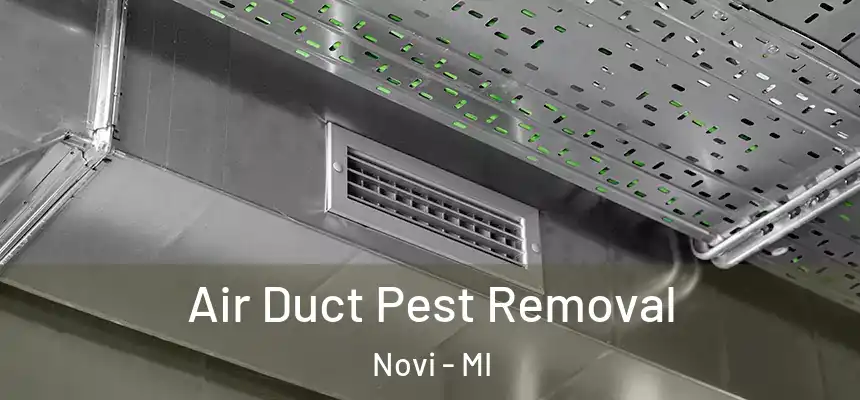 Air Duct Pest Removal Novi - MI