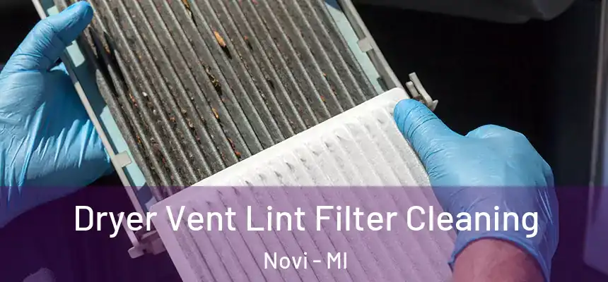 Dryer Vent Lint Filter Cleaning Novi - MI