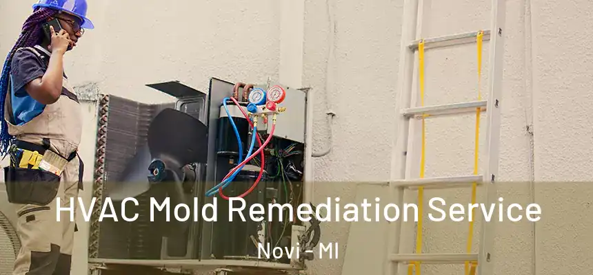 HVAC Mold Remediation Service Novi - MI