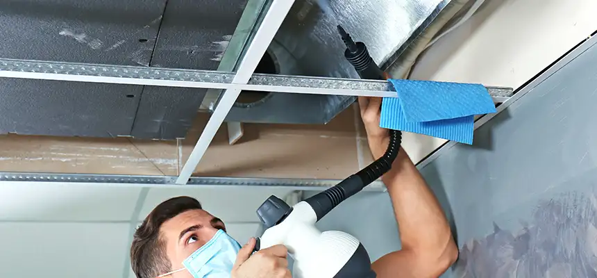 Our Air Duct Rodent Removal Services in Novi, MI