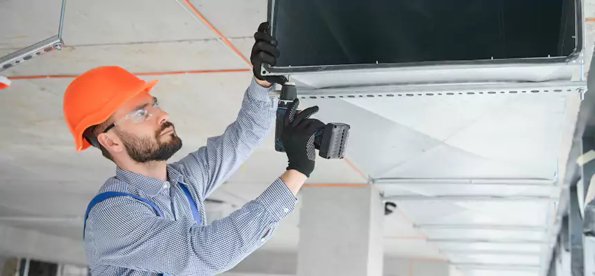 Roof Cap & Exterior Hood Lint Buildup Removal – Novi