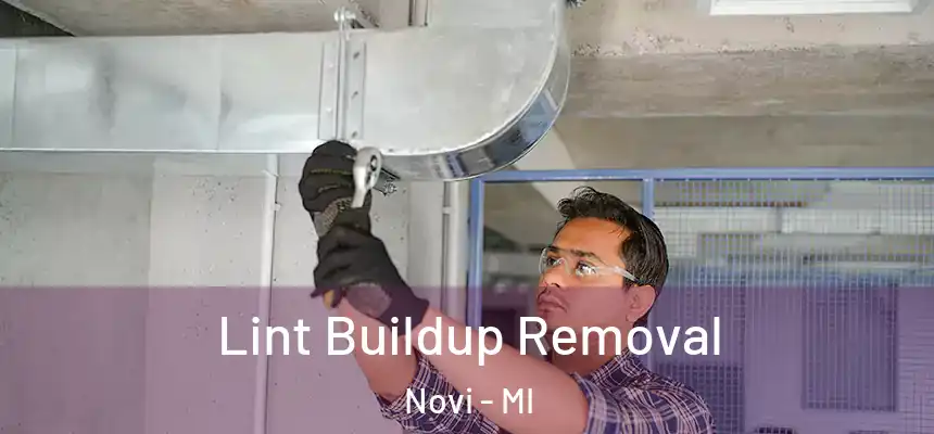 Lint Buildup Removal Novi - MI
