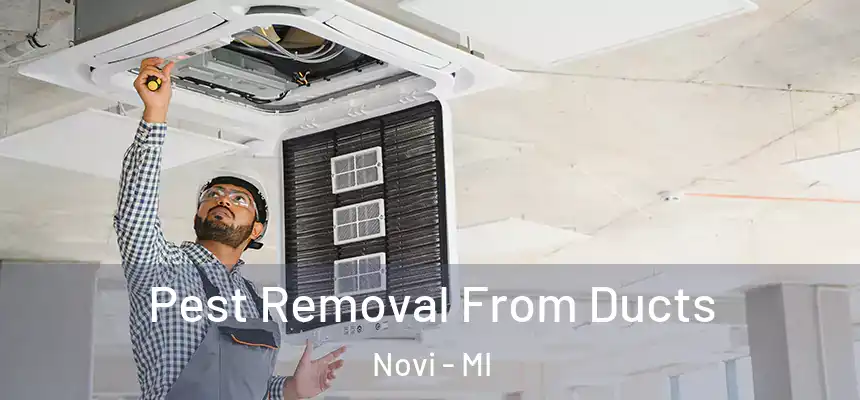  Pest Removal From Ducts Novi - MI