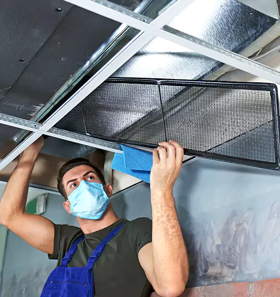 Professional Air Duct Pollen Cleaning in Novi, MI