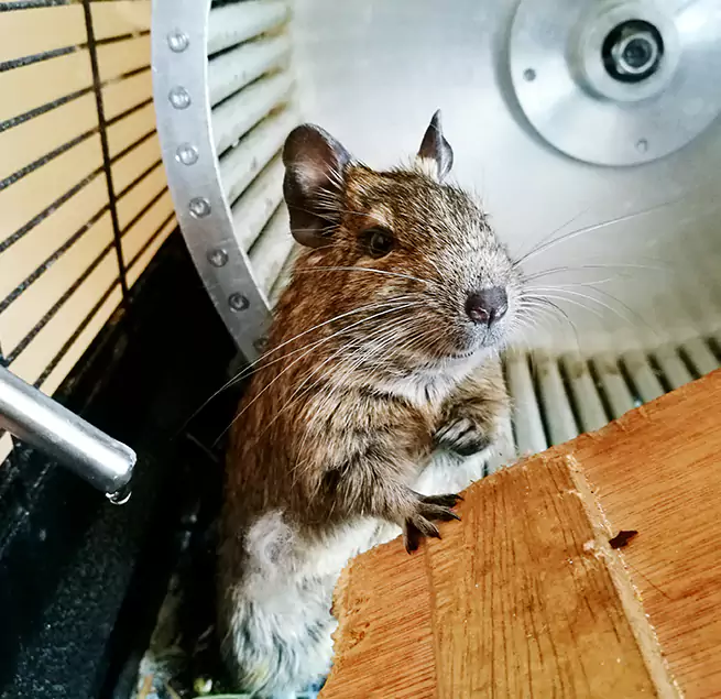 Why Homeowners & Businesses Trust Us Novi, MI