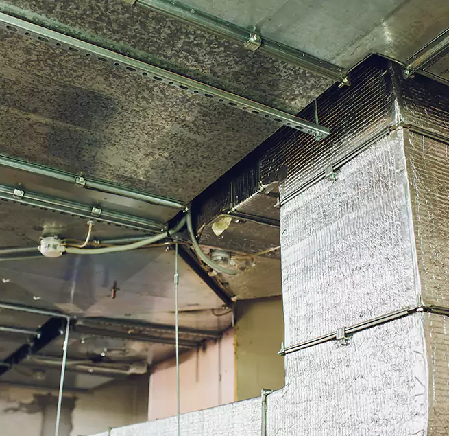 Why Homeowners & Businesses Trust Us in Novi, MI?